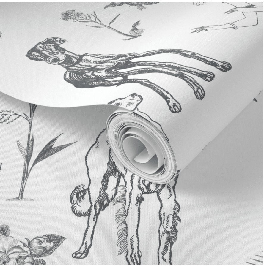 DOG SHOW WALLPAPER IN BLUE MERLE - Middy N' Me