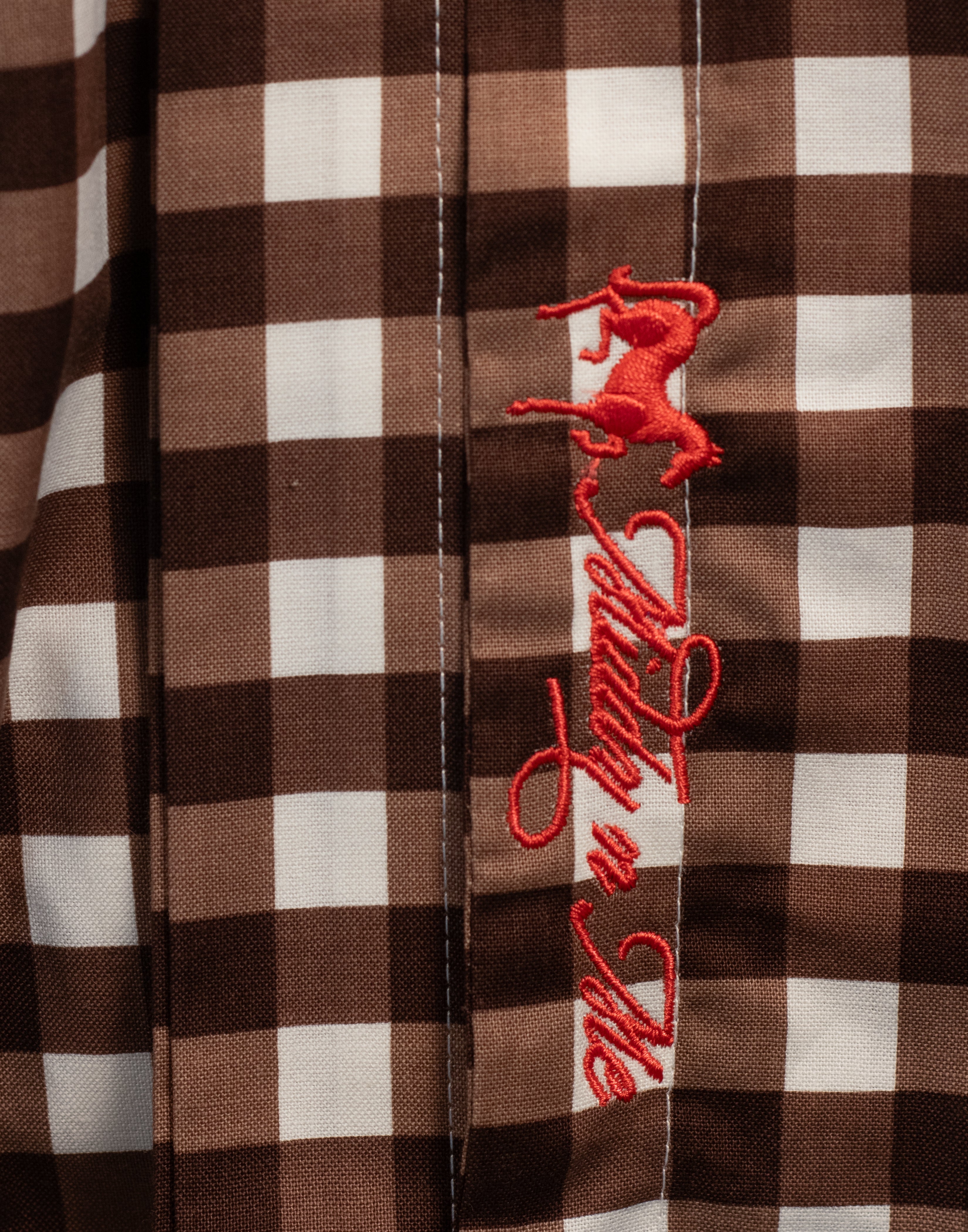 SWEET MELISSA SHIRT IN CHOCOLATE GINGHAM