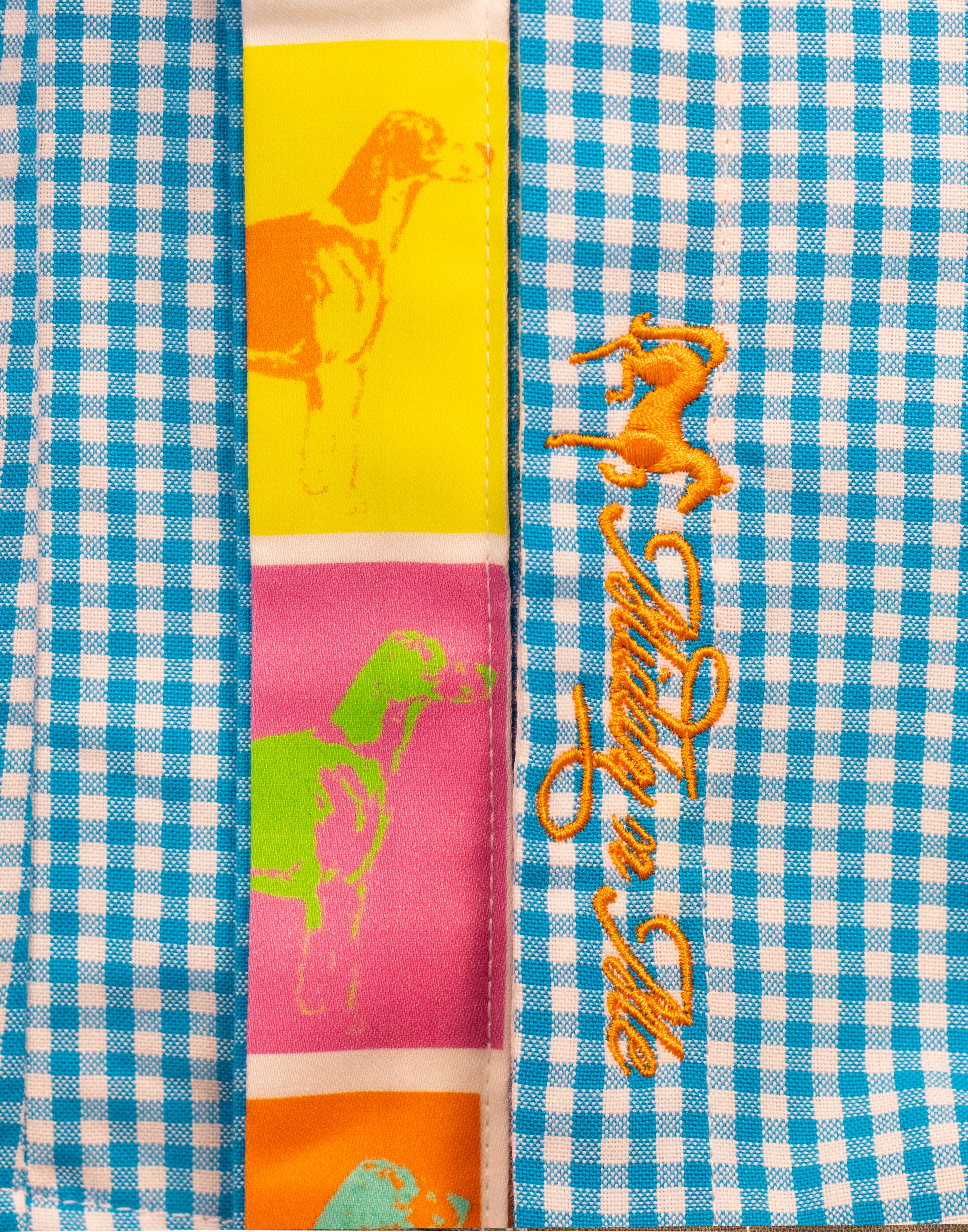WARE HOUND SHIRT ON TURQUOISE GINGHAM