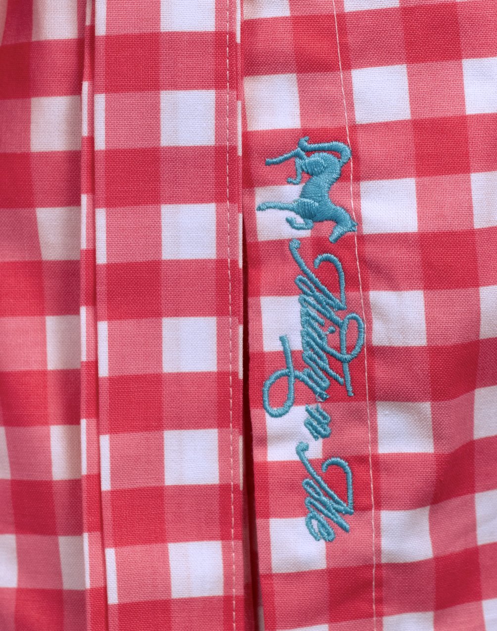 SWEET MELISSA SHIRT IN FUCHSIA GINGHAM