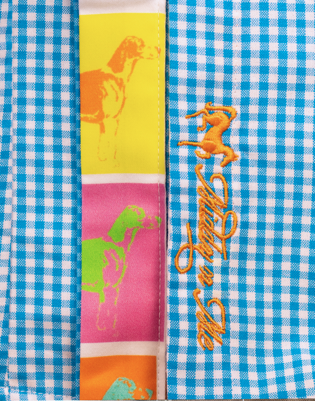 WARE HOUND SHIRT ON TURQUOISE GINGHAM